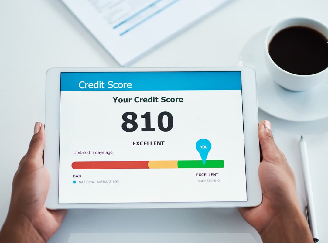 authorized user tradelines